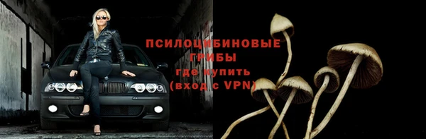 стафф Сафоново