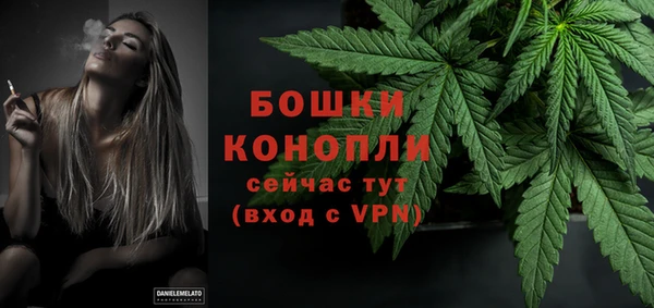 PSILOCYBIN Семикаракорск