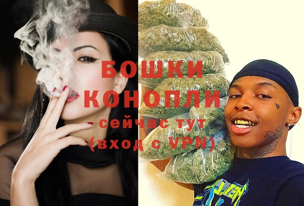 Альфа ПВП Белокуриха